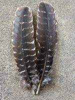 Wapsi Ozark Turkey Quill Muddler