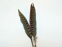 Wapsi Ring Neck Pheasant Tail Pieces