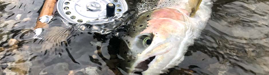 Saltwater Salmon Fishing Accessories – Sea-Run Fly & Tackle