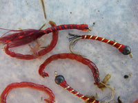 Mastering Chironomids Course with Brian Chan (Zoom)