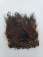 OfishL Ringneck Pheasant Rump Feathers