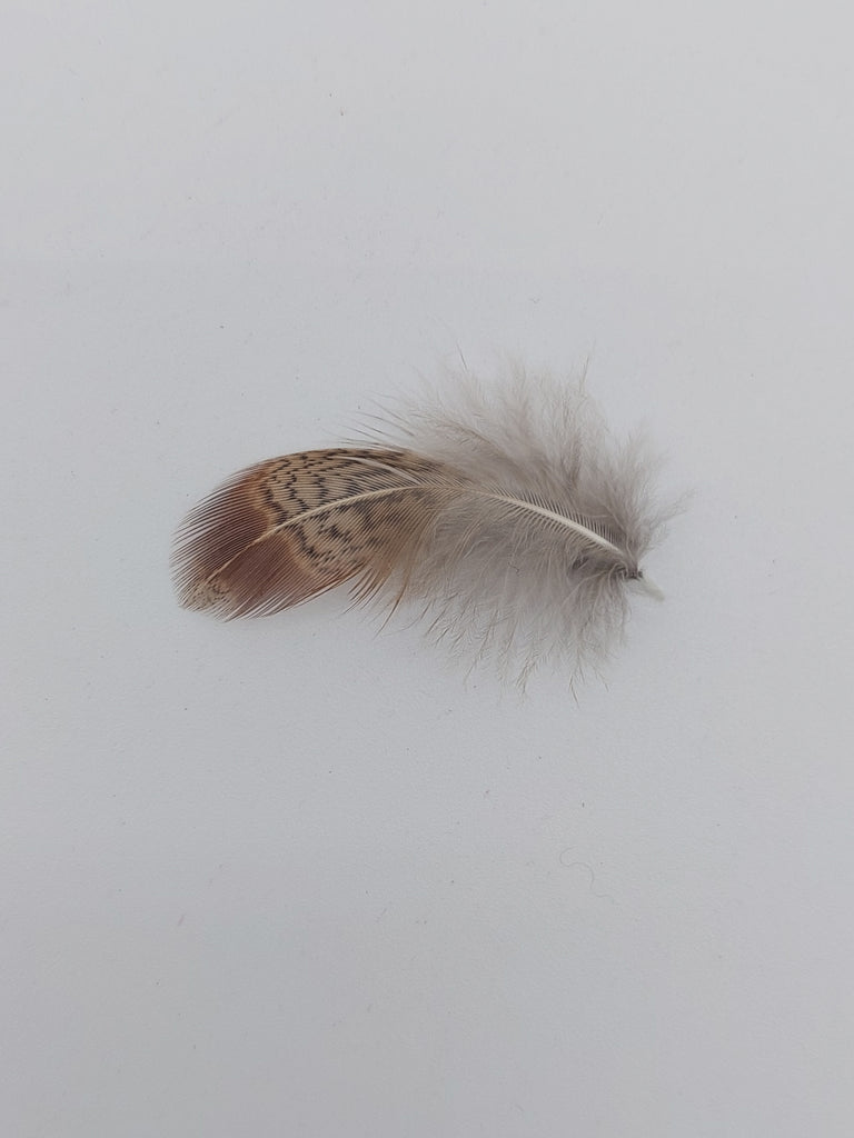 Wapsi Loose Partridge Feathers