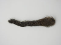 Wapsi Squirrel Tail