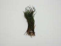 Fly Angler Strung Natural Peacock Herl