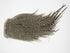 Whiting Pro-Grade Rooster Saddle Hackle Cape