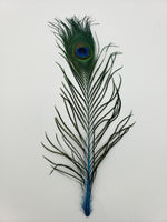 Fly Angler Peacock Eyes