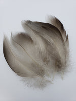 Wapsi Bronze Mallard Flank Spey Large Select