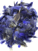 Hook & Hackle Partridge Feathers