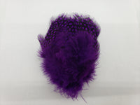 Natures Spirit Fish Hunter Large Dot Guinea