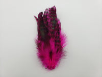 Natures Spirit Grizzly Variant Schlappen