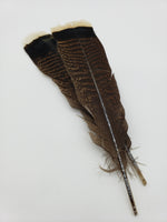 OfishL Fly Gear Mottled White tipped Wild Turkey Tail Feathers 6 Pack