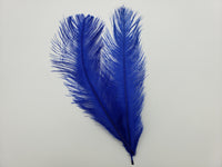 OFishL Ostrich Spey Plumes Medium