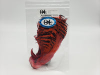 OfishL Fly Gear Golden Pheasant Head