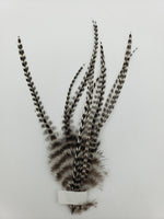 OfishL Fly Gear Metz #2 Saddle Pack Short