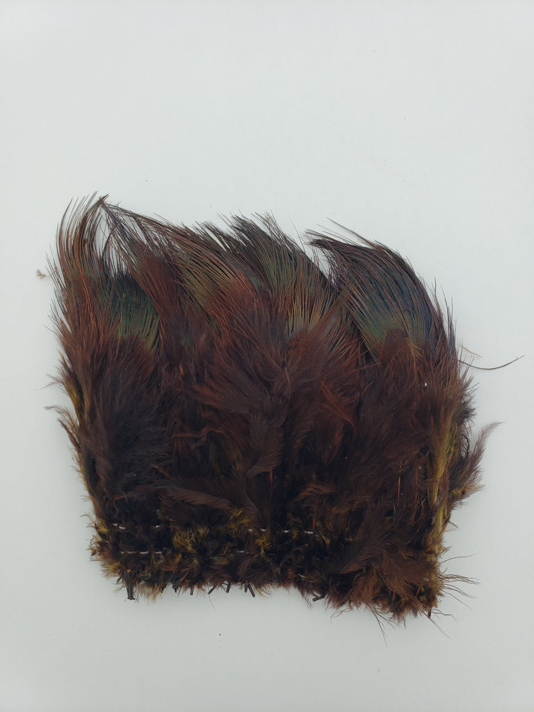 OfishL Ringneck Pheasant Rump Feathers – Sea-Run Fly & Tackle