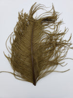 Wapsi Ostrich Plumes