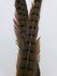 Wapsi Ringneck Pheasant Tail Feathers