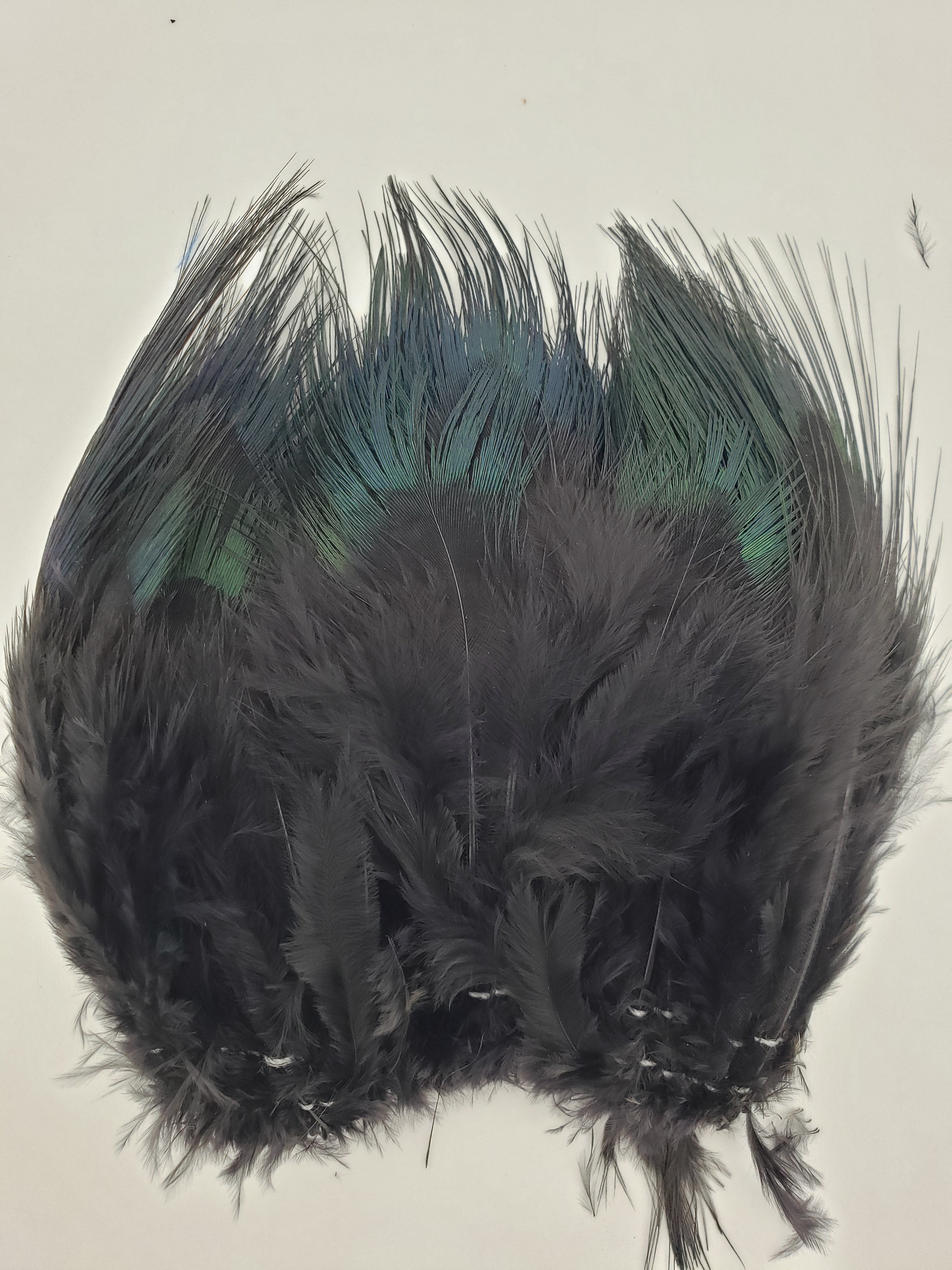 Ringneck Pheasant Hat Feathers – Big D Speedshop