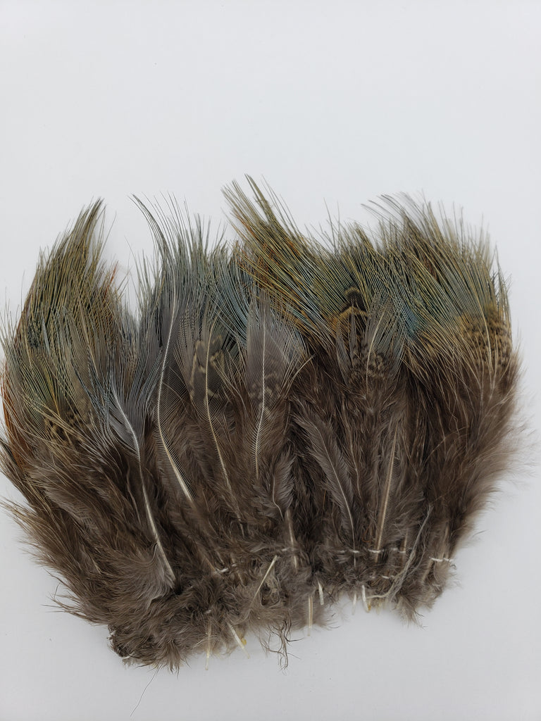 Wapsi Ringneck Pheasant Rump Hackle – Sea-Run Fly & Tackle