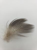 Wapsi Teal Barred Flank