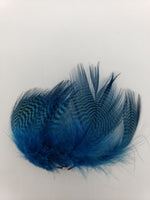 Wapsi Teal Barred Flank