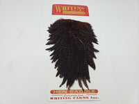 Whiting Wet Fly Hackle Hen Saddle
