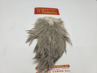 Whiting Wet Fly Hackle Hen Saddle