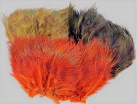 Wapsi Ringneck Pheasant Rump Hackle